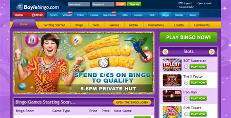 boyles casino|boyle bingo online.